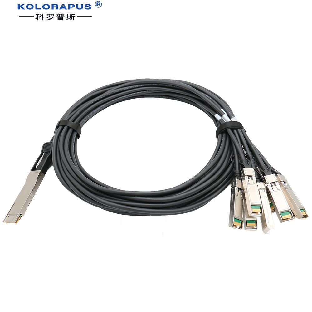  400G QSFP-DD-8X50G SFP56 Direct Attach Cable - PAM4 Datasheet